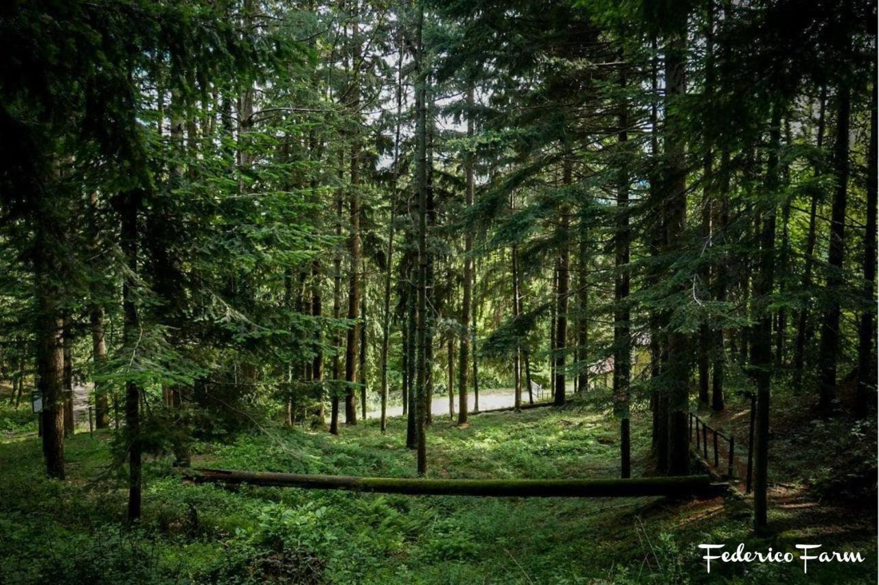 Camping Grondola - Federicofarm Pontremoli Zewnętrze zdjęcie