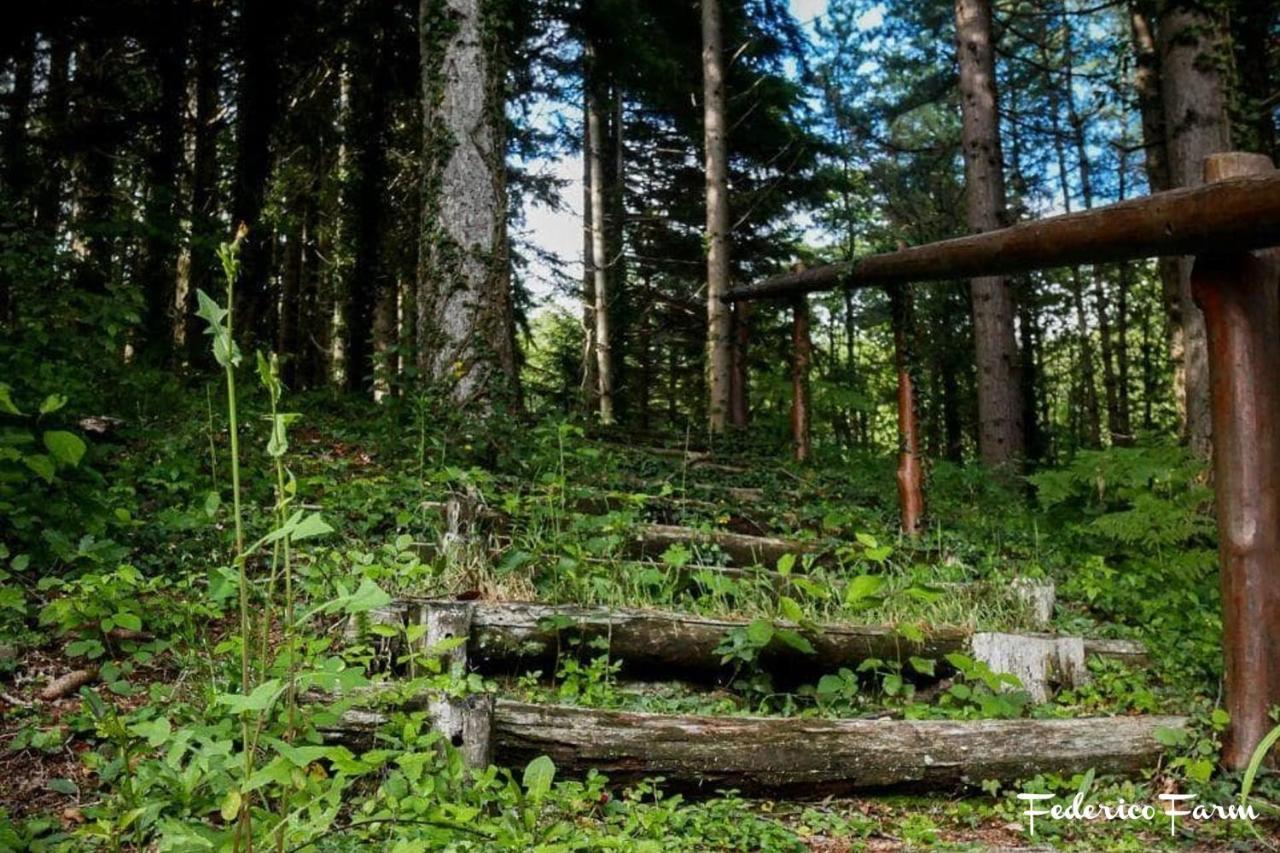 Camping Grondola - Federicofarm Pontremoli Zewnętrze zdjęcie