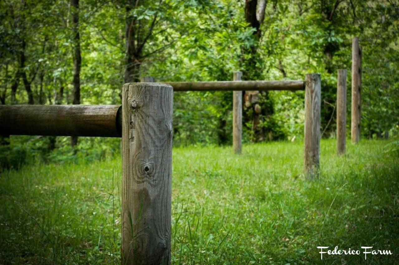 Camping Grondola - Federicofarm Pontremoli Zewnętrze zdjęcie