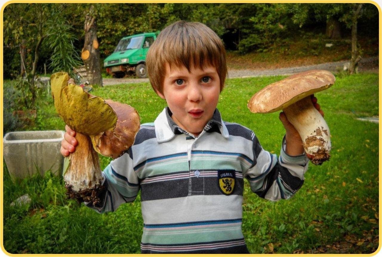 Camping Grondola - Federicofarm Pontremoli Zewnętrze zdjęcie