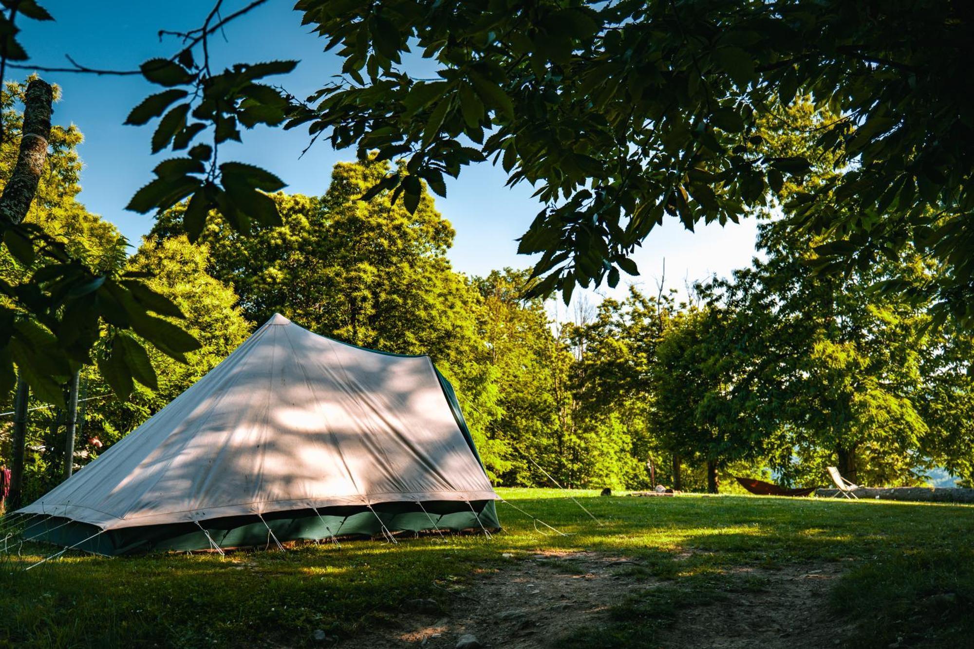Camping Grondola - Federicofarm Pontremoli Pokój zdjęcie