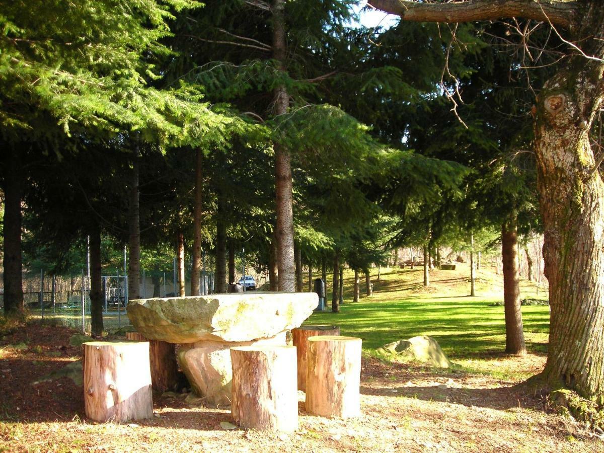 Camping Grondola - Federicofarm Pontremoli Pokój zdjęcie
